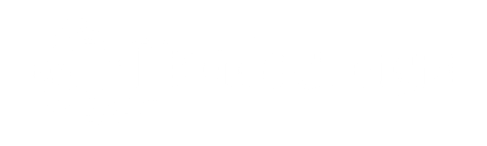 logotype